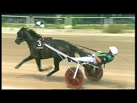 Trotto 29/05/2020 - 3ª corsa