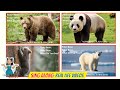 Brown Bear Brown Bear What Do You See Sing Along Song Eric Carle Animated Stories Read Aloud Books