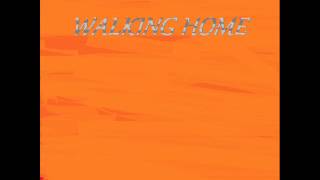 Internet Idiot - Walking Home