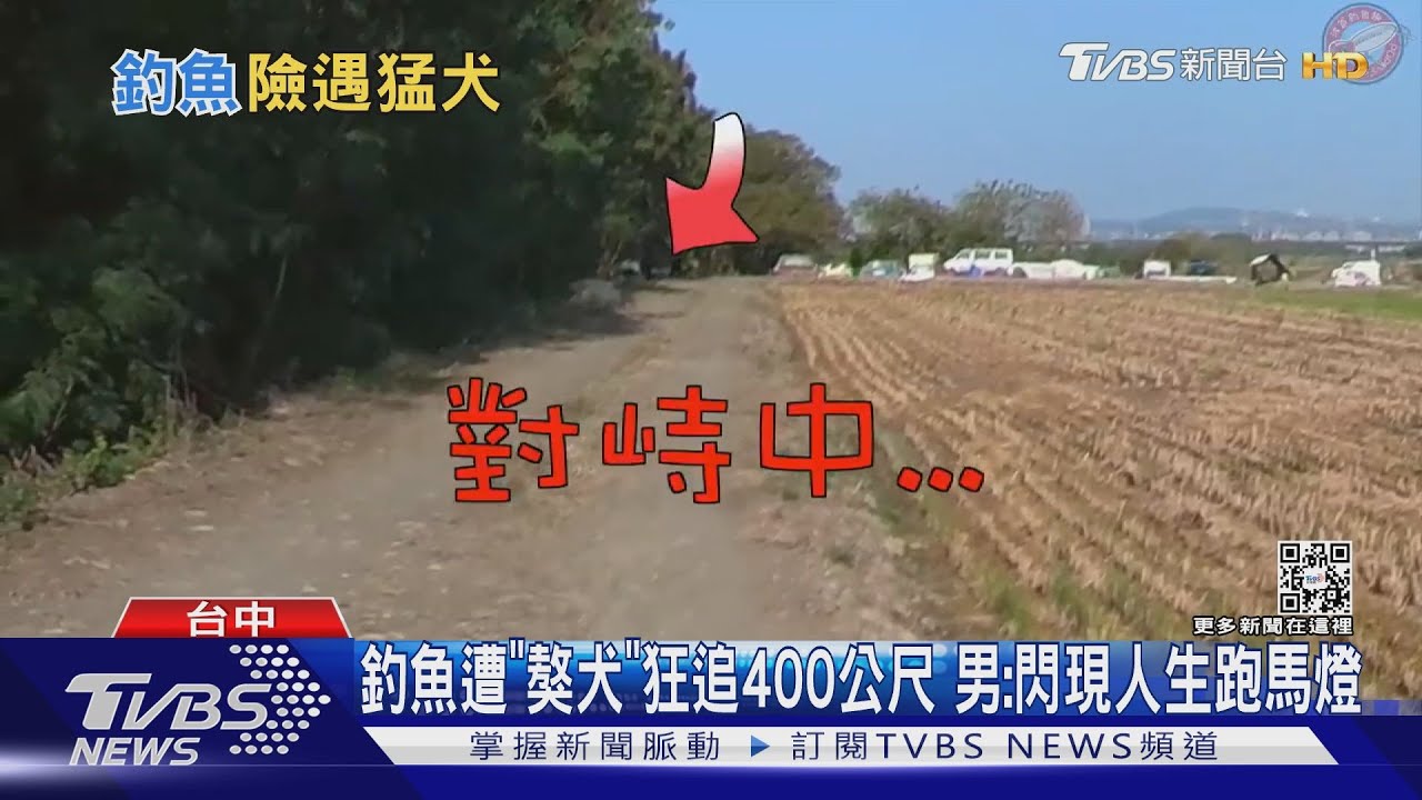 釣魚遭「獒犬」狂追400公尺 男:閃現人生跑馬燈