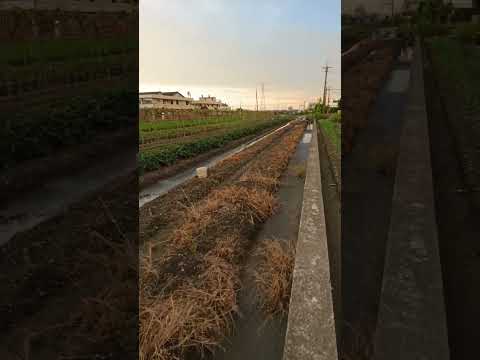 社頭鄉-湳西段農地出售 第1張共16張