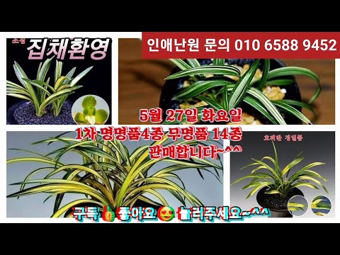 유튜브 썸네일
