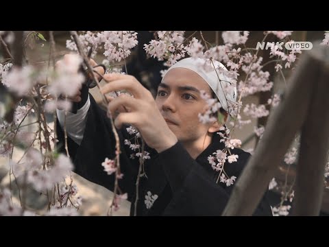 Tráiler de 京都人の密かな愉しみBlue修業中 門出の桜 (2022)