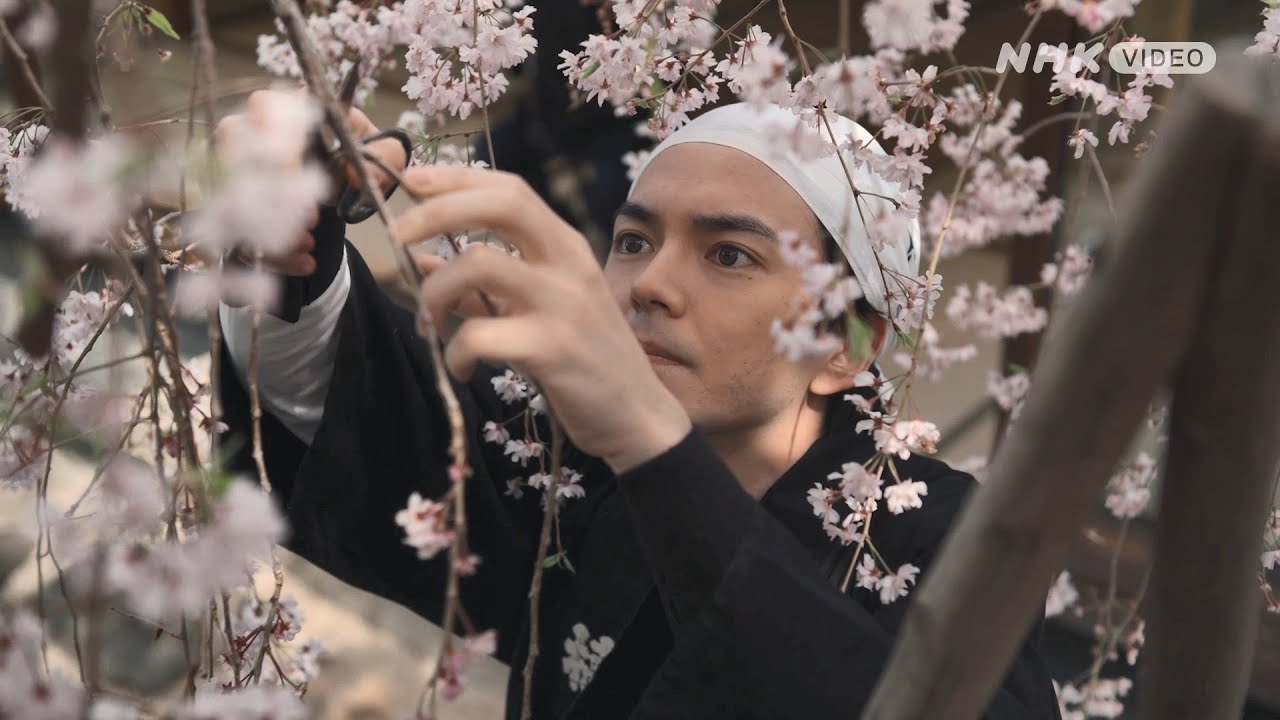 京都人の密かな愉しみ Blue 修業中 門出の桜 PR動画