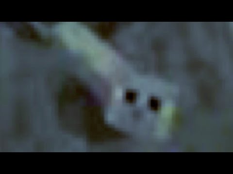 Talking kitty cat in Minecraft-33 Where’s Gibson