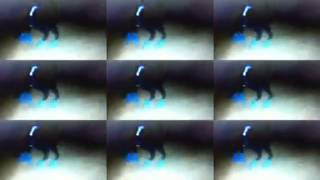 Obertura MDXX - Mago de oz