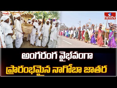  Tribal Festival Nagoba Jatara Begins Grandly 