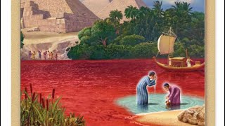 הרב רועי גבאי - פנינים מפרשת ״וארא״