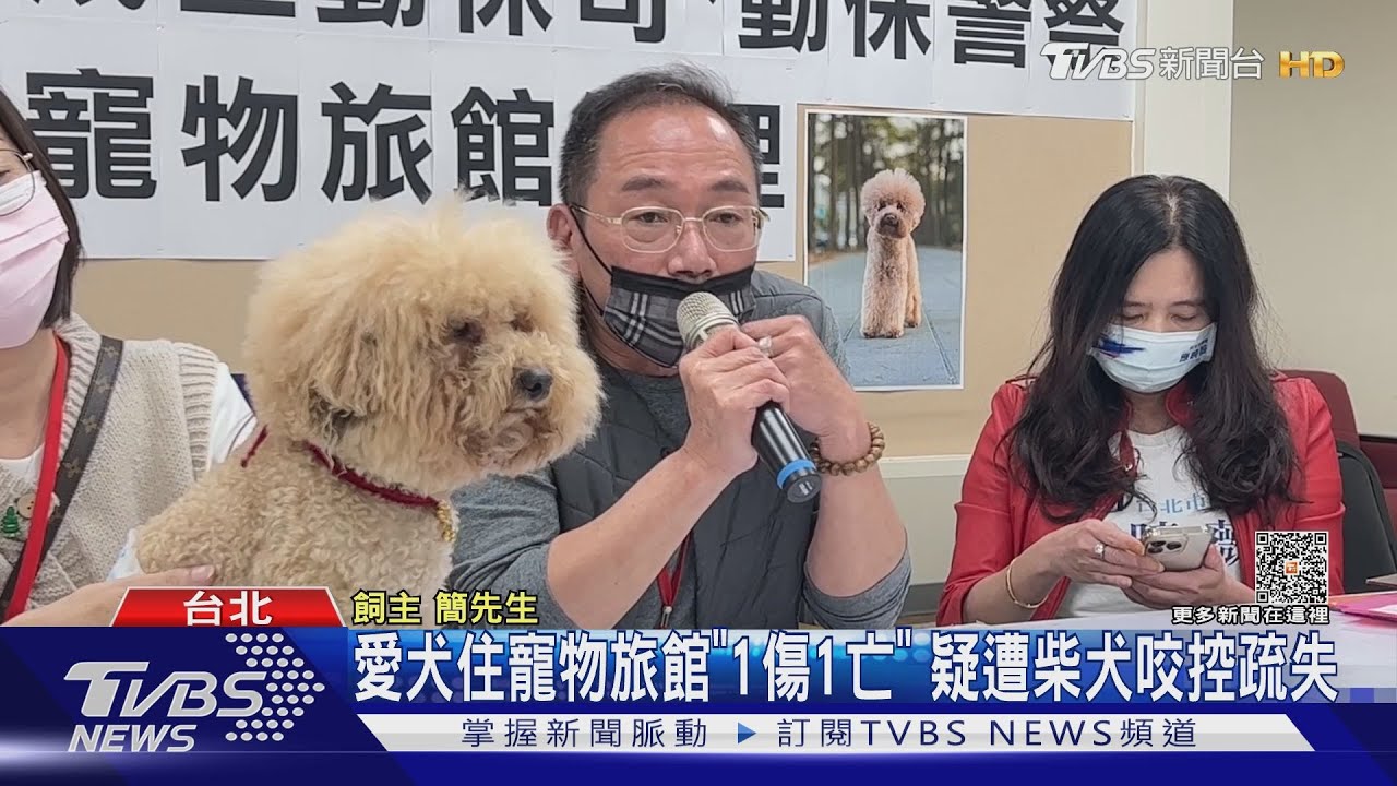 愛犬住寵物旅館「1傷1亡」疑遭柴犬咬 控疏失