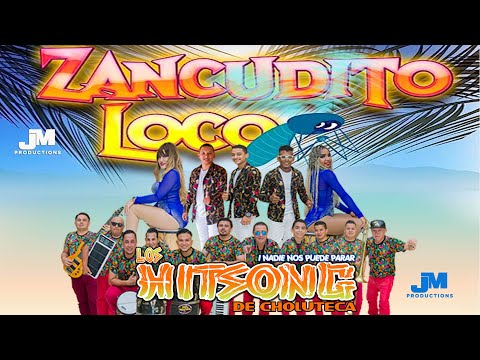 LOS HITSONG / Zancudo loco /JM PRODUCTIONS
