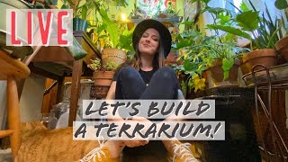 Live Terrarium Build Experiment