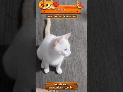 Vídeo de Romeu 