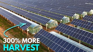 How Agri-Voltaics are Changing Agriculture | The Power of Solar Panels | EyeTech