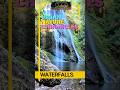 Urban Nature Chronicles: Waterfalls