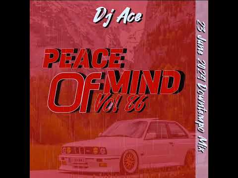 DOWNTEMPO MIX 2024 | 23 JUNE | PEACE OF MIND VOL 86 | DJ Ace ♠️