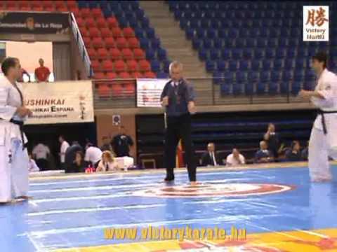 2010 Shinkyokushin EC Logrono: Marius Ilas - Manos Seitis, men 80 kg
