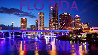 Flo Rida - What a Night (Audio)