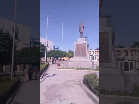 #Ahora detalles de la caída de la palma #Bayamo #provinciagranma #cuba