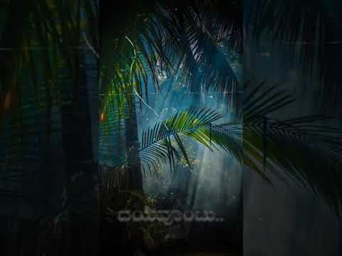 love feeling kannada songs status video whatsapp