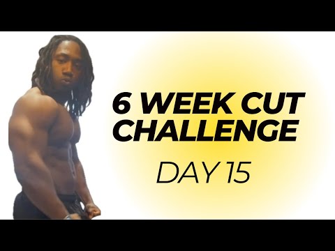 Spring cut: Day 15 (Full day of eating & exercise)