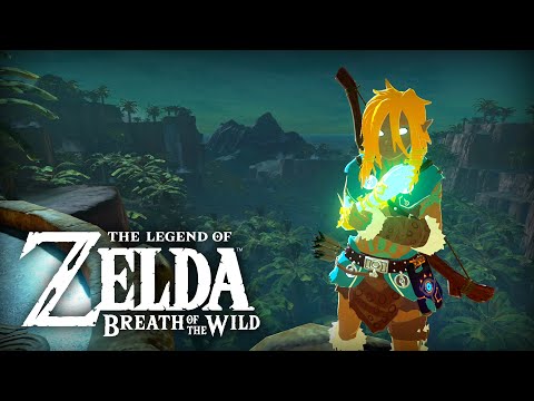 1 Hour of Zonai Link To Study or Relax - Breath of The Wild