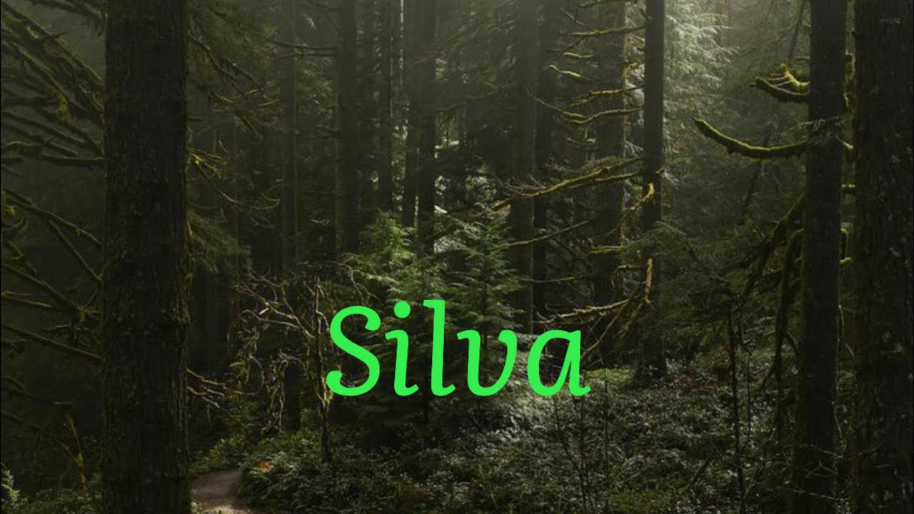 In all of Silva videos, Silva improved so much! 💚🌳 @CrazyCae