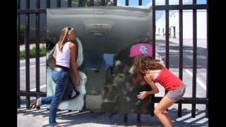 Birdman feat Lil wayne-Bring It Back