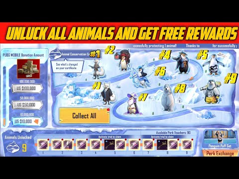 PASHTON YT and PASHTON 