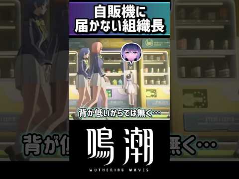 「鳴潮の無理ゲー！手が届かない組織長とは？」