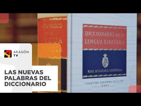 La RAE vs ARGENTINA: Lenguaje Rioplatense