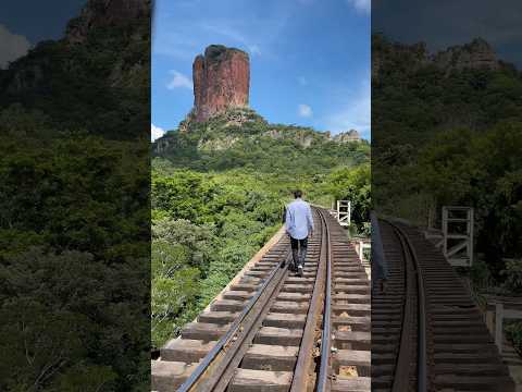 CHIQUITANIA BOLIVIA 🇧🇴 ROBORE