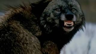 Necromantia - Unchaining The Wolf