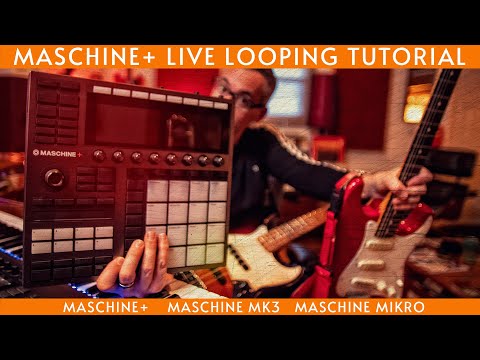 Maschine+ Live Looping setup tutorial: Loop performance dream maschine!