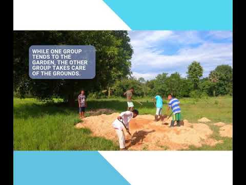 Empowering People with Intellectual Disabilities