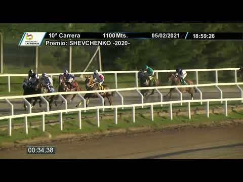 210205 c10 - LUBA TUBA - HIPODROMO LAS PIEDRAS