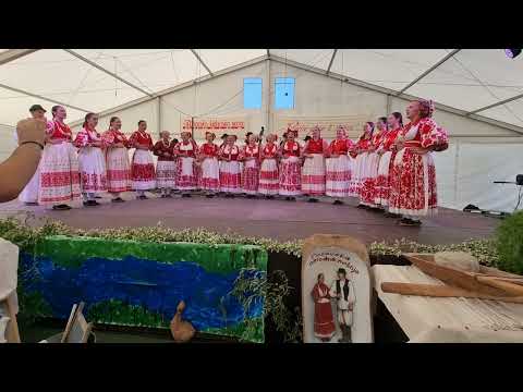 KUD OSS Lupoglav na manifestaciji "Posavino, gdje su ti starine?"