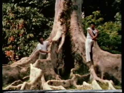 THE BLUE DIAMONDS     Bila Angrek Berbunga