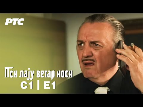 Psi laju, vetar nosi | Sezona 1| Epizoda 1 - "Pantalone trula višnja"