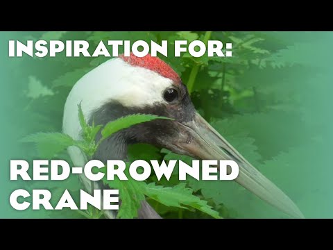 25 Real Red-Crowned Crane Habitats! (Planet Zoo Inspiration)