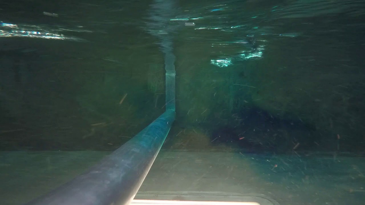 Flow Visualisation for Vortex Induced Vibrations