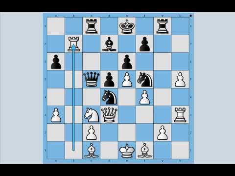 Skakač na pobedničkom polju u šahu ◇ NIJBOER vs TIMMAN # 1623