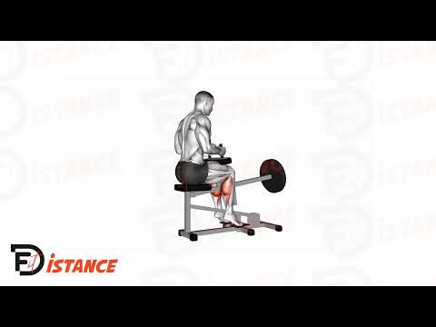 Exercice Machine à mollets (pieds vers l'extérieur)