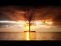 Soothing Calm - Playlist for sleep, relaxation, peace