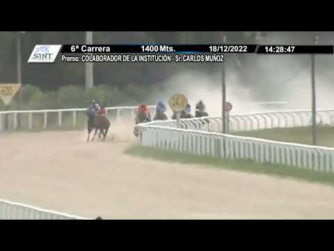 CARRERAS SINT MELO 221218  c06 - 1° DOG FRANCES