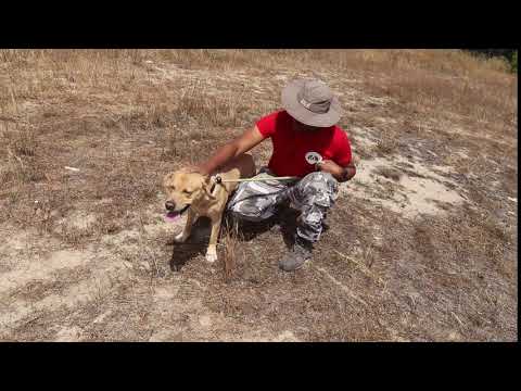 Vídeo de MARLEY