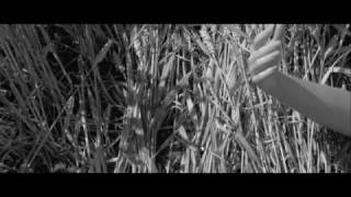 Kärlekens Krigare Trailer (SE) | Upright Music
