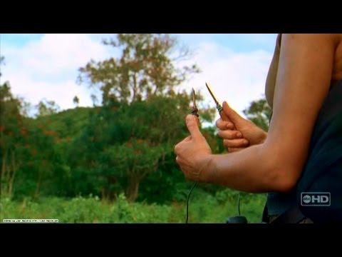 Women in Trees -- LOST Parody Short