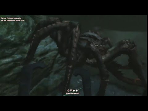 Streamer Doesn't Like Spiders || SkyrimVR