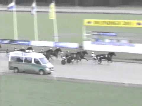 Derby "B" Nederland 2011 -Berry's Boy