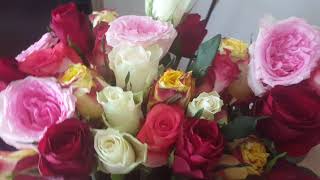 20190616_172258 Kara Zindan